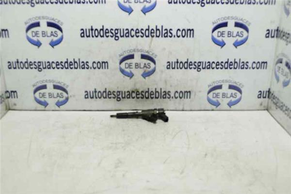307 S1 Inyector
