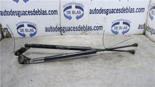 COROLLA VERSO R1 Amortiguador Porton