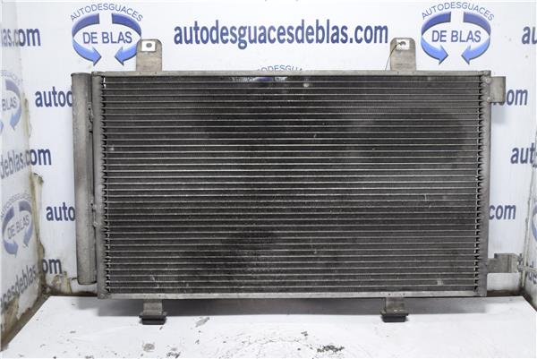 SX4 Condensador