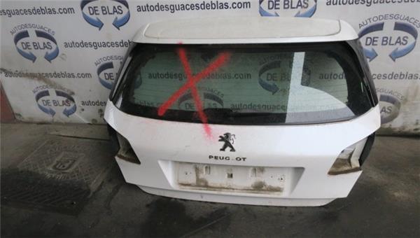 308 2013- Porton Trasero