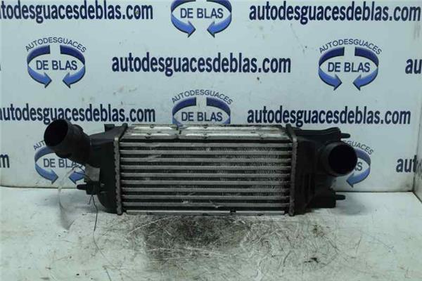 407 SW Intercooler
