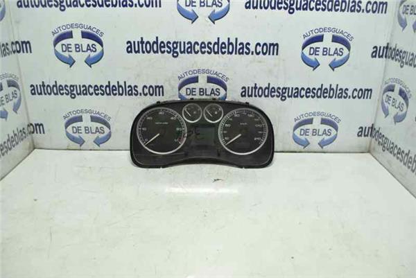 307 S1 Cuadro Completo