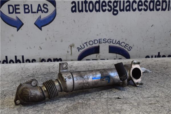 ACCORD BERLINA CLCN Enfriador Gases Egr