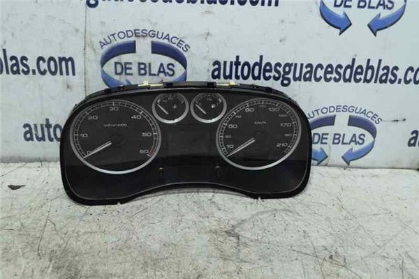 307 BREAK SW S1 Cuadro Completo