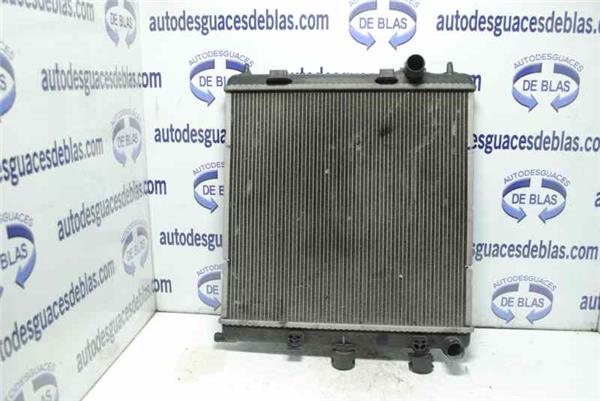 207 Radiador