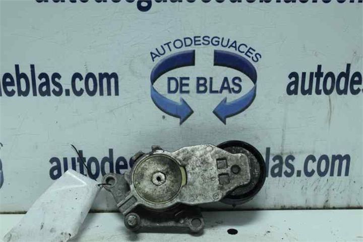 FOCUS BERLINA CAP Tensor Correa Auxiliar