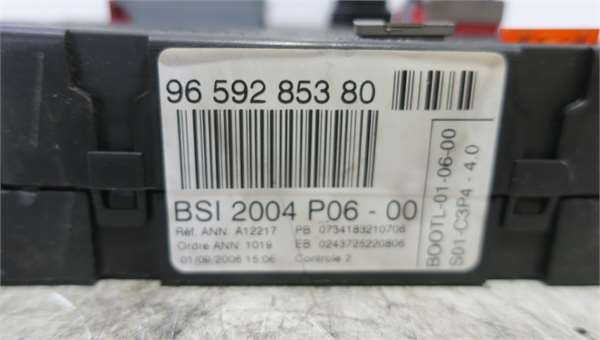 207 2006- BSI
