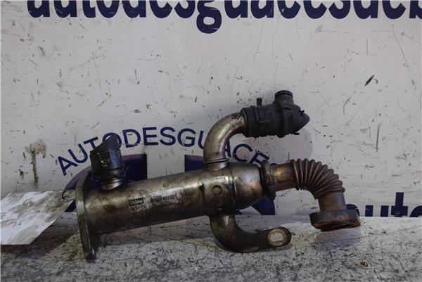 407 Enfriador Gases Egr