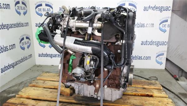 FOCUS LIM. CB4 Motor Completo
