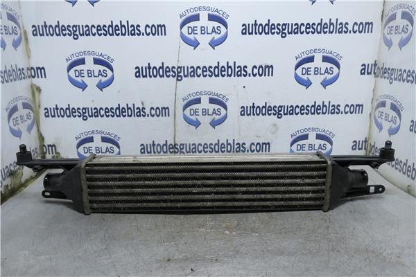 GRANDE PUNTO 199 Intercooler