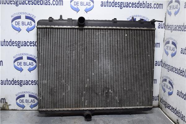 407 Radiador