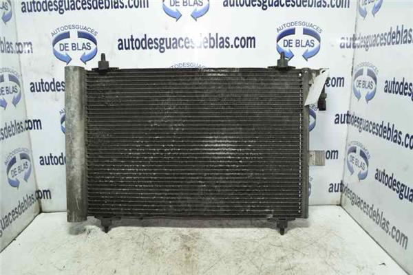607 S1 Condensador