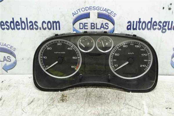 307 S1 Cuadro Completo