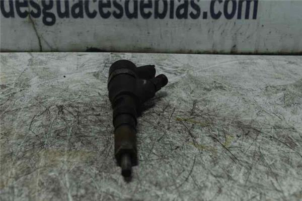 307 S1 Inyector