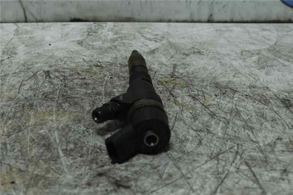 307 S1 Inyector