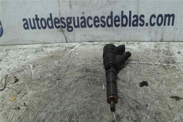 307 S1 Inyector