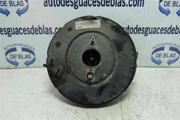 207 Servofreno