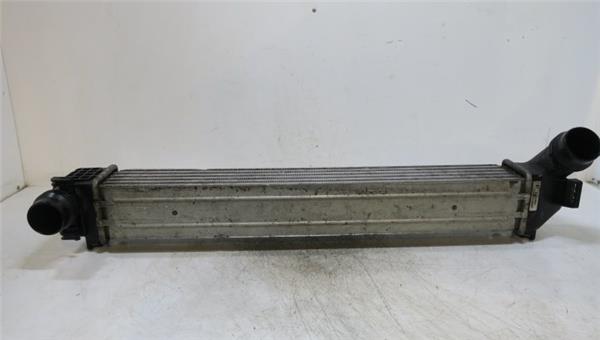 Fluence 2010- Intercooler