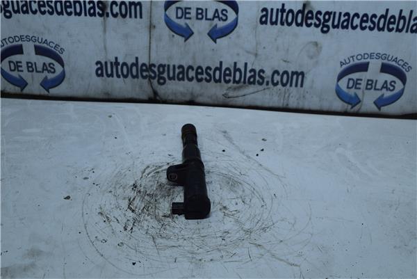 LAGUNA II BG0 Bobina Encendido