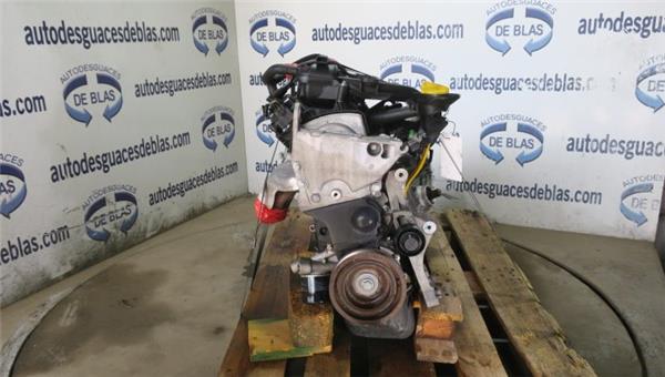 Twingo II 07.2007- Motor Completo