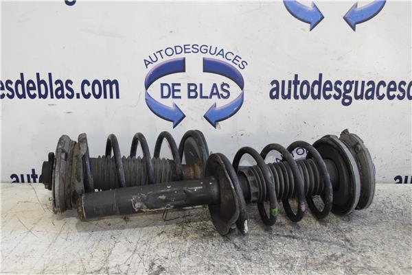 607 S1 Amortiguador Delantero Completo