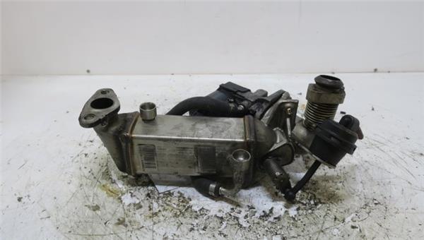 Serie 1 Berlina E81E872004- Egr