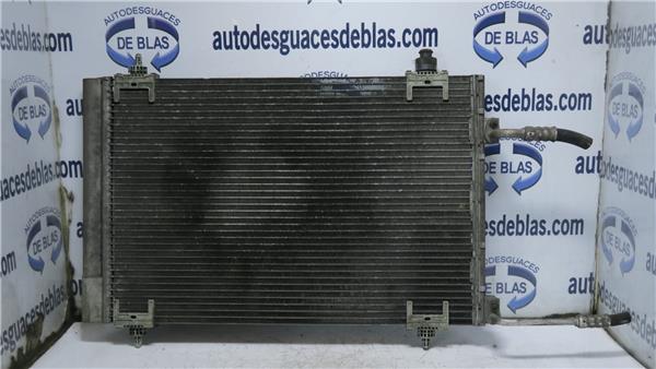 307 BERLINA S2 Condensador