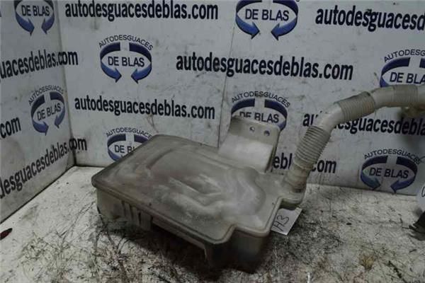 SIN DEFINIR Botella Expansion
