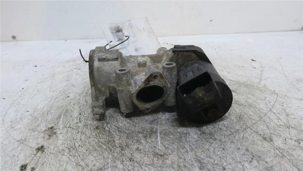 Focus Berlina CB42008- Egr