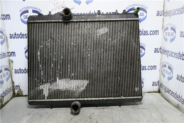 407 Radiador