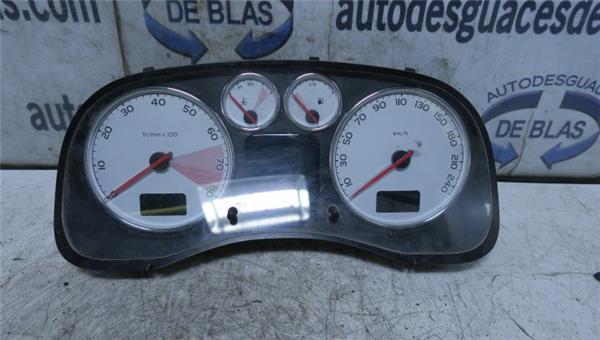 307 S1 Cuadro Completo