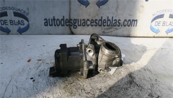 307 S1 Egr