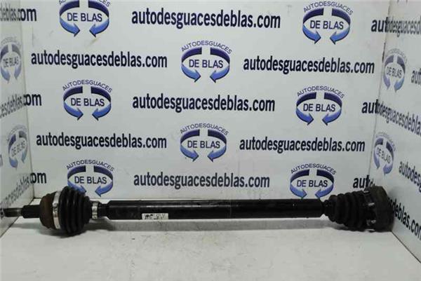TOLEDO 1M2 Transmision Delantera Derecha