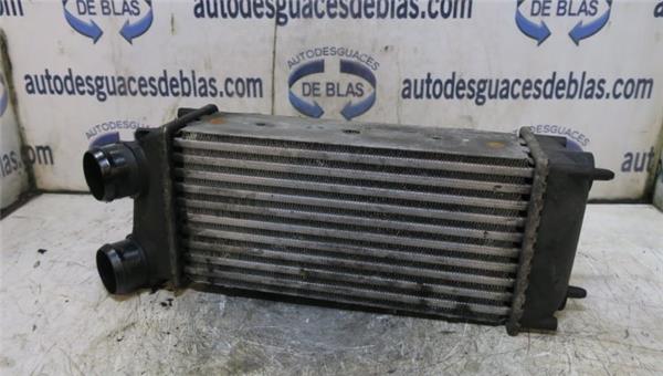 307 Berlina S206.2005- Intercooler