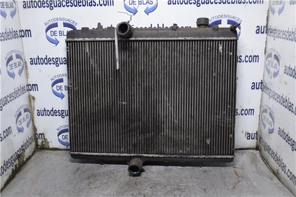 407 Radiador