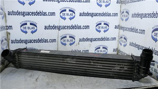 LAGUNA II BG0 Intercooler