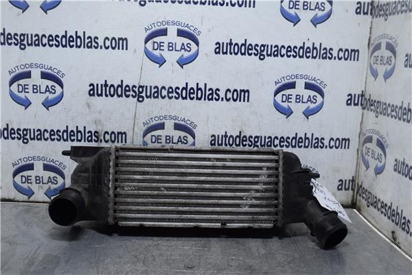 407 Intercooler