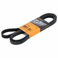 Serie 3 Berlina E461998- Correa Accesorios