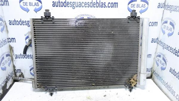 C4 GRAND PICASSO Condensador