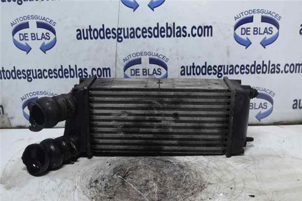 307 BREAKSW S2 Intercooler