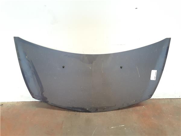 capo renault clio iii (2005 >) 1.5 dynamique [1,5 ltr.   78 kw dci diesel]