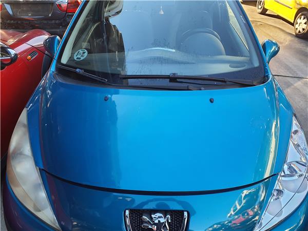 capo peugeot 207 2006 14 confort 14 ltr 50