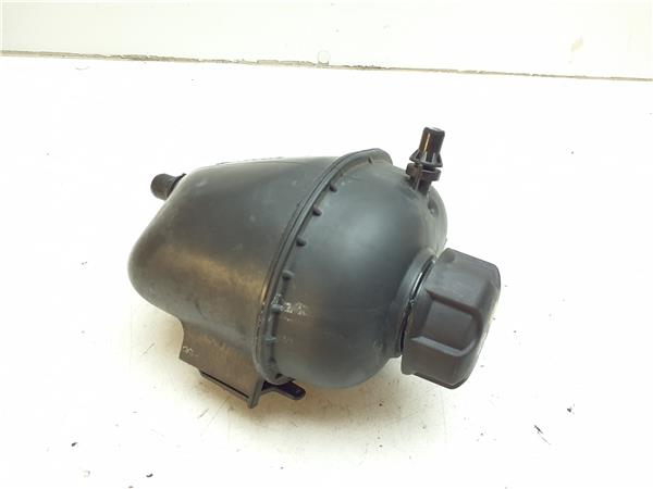 deposito refrigerante bmw serie x3 g01 2017 