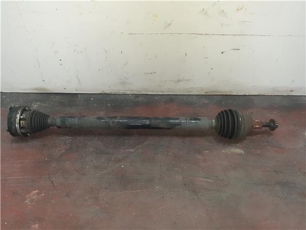 palier delantero derecho audi a3 (8p1)(05.2003 >) 1.9 tdi e attraction [1,9 ltr.   77 kw tdi]
