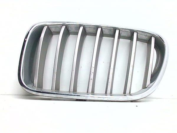 rejilla paragolpes delantero izquierda bmw se