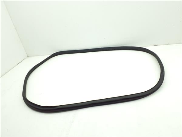 goma contorno lateral puerta delantera izquie