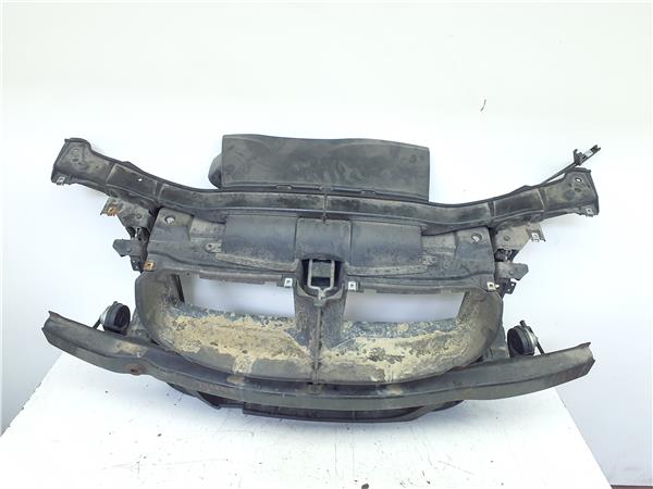 frente delantero bmw serie 3 touring e91 2005