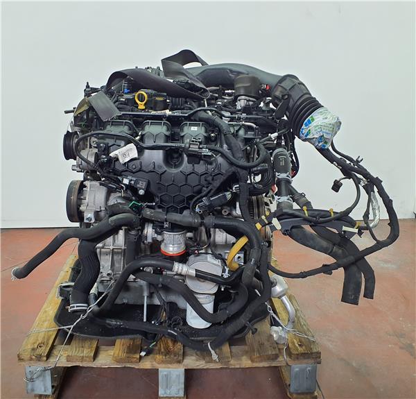 motor completo ford focus berlina (cge)(2018 >) 2.3 st [2,3 ltr.   206 kw ecoboost cat]