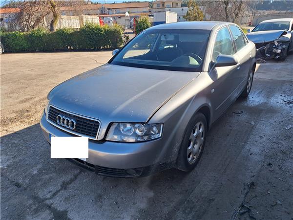 Puerta Trasera Derecha Audi A4 1.9