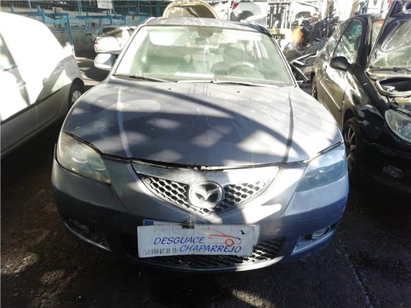 3 BERLINA Amortiguador Porton